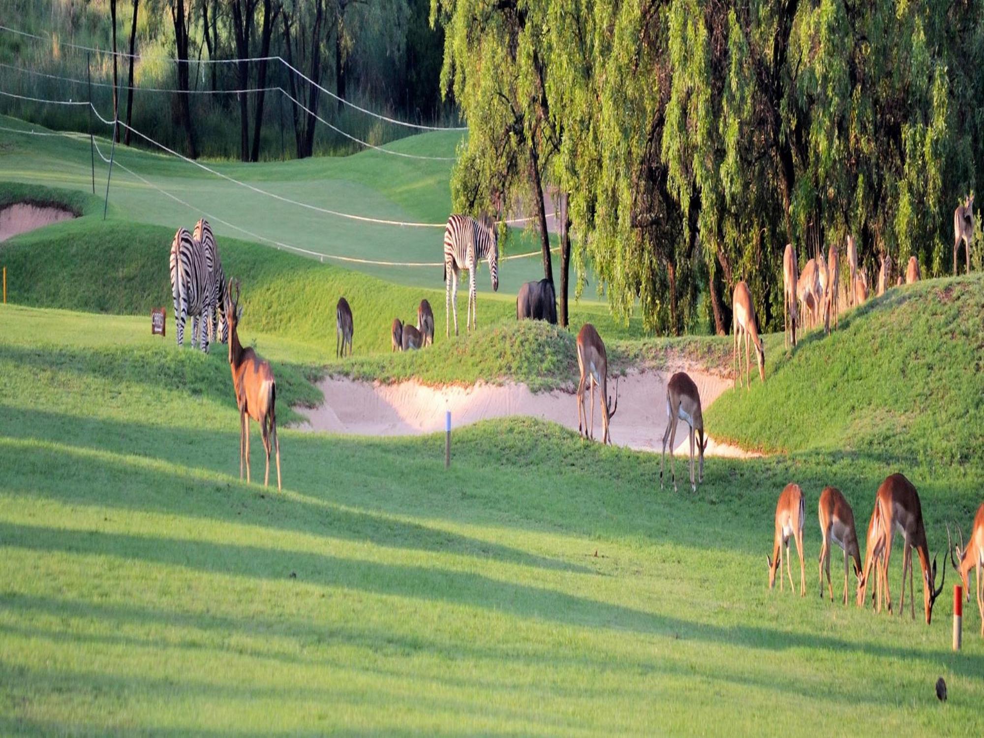 Elements Private Golf Reserve Villa Bela-Bela Eksteriør billede